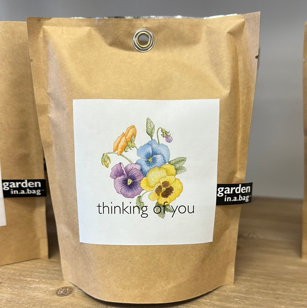 Thinking of You - Garden in a Bag