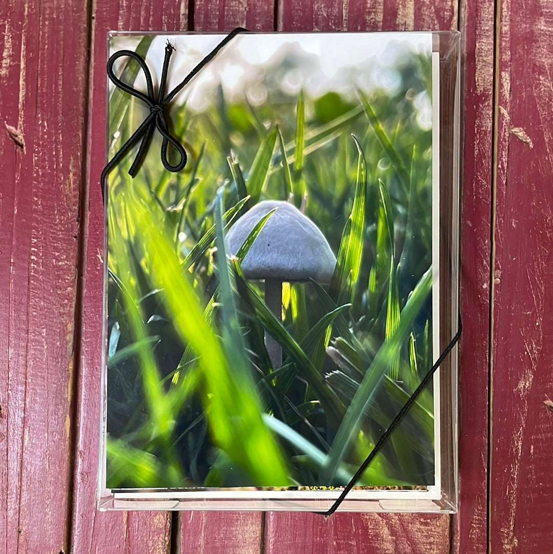Boxed Card Set - Mushroom