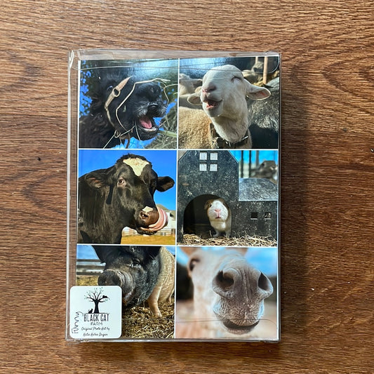 Boxed Card Set - Funny Animal