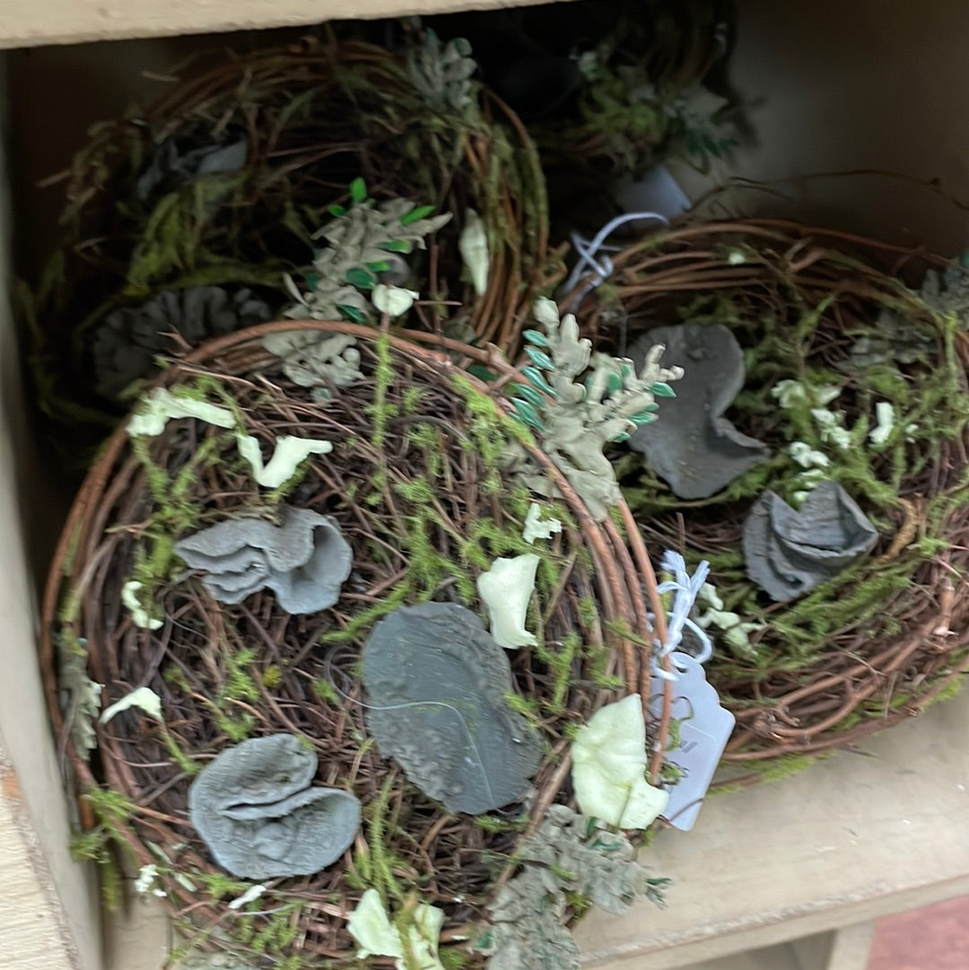 Nest with Moss No Eggs