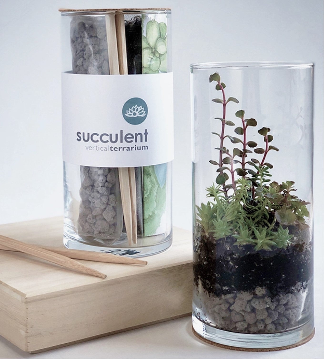 Vertical Succulent Terrarium